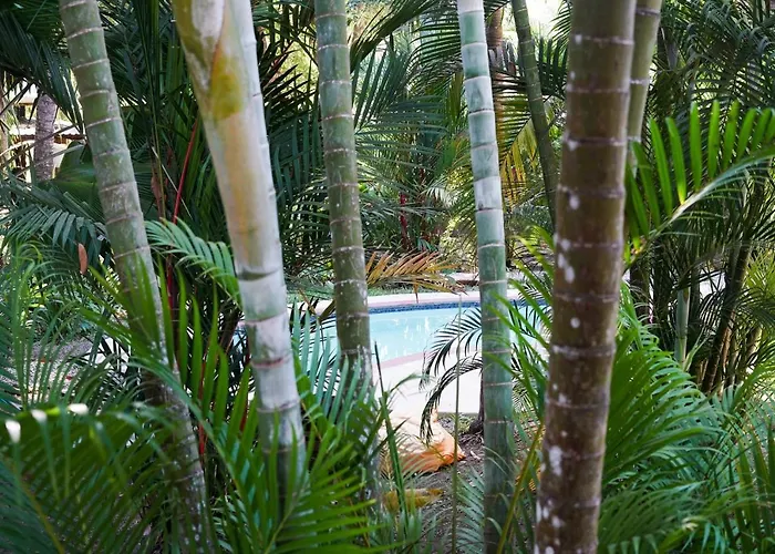 Hotel Luz De Luna